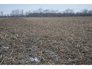 Property photo 4 - 175 Acres Offered in 5 Tracts - Tontogany, Ohio Farm Land Auction